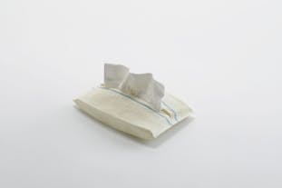 fossil scene シリーズ pocket tissue-2
